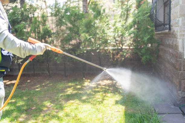 Best Pest Prevention Services  in New Haven, MO